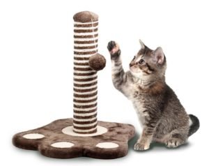 Arranhadores para gatos: Conheça seus surpreendentes benefícios!