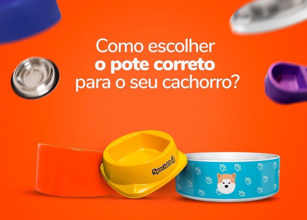 Comedouro para cachorro: Como escolher o ideal?