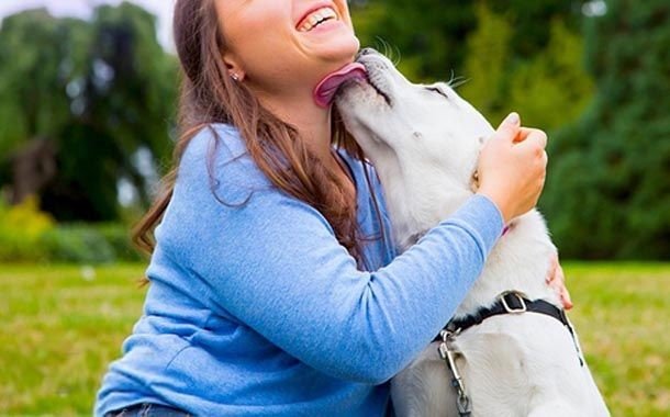 Cães com ansiedade de separação